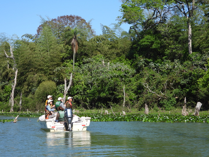 Boat Birding in Southern South America