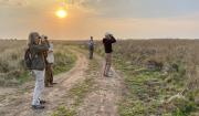 Birding Ibera and Iguazu
