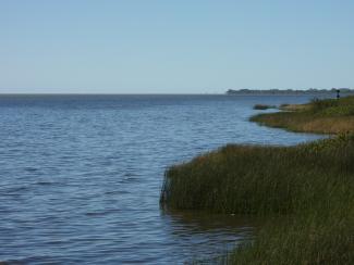 Punta Rasa
