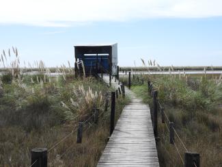 Punta Rasa