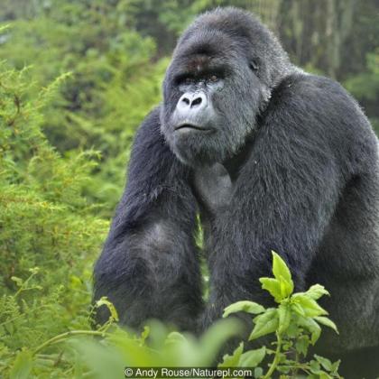Uganda 2027