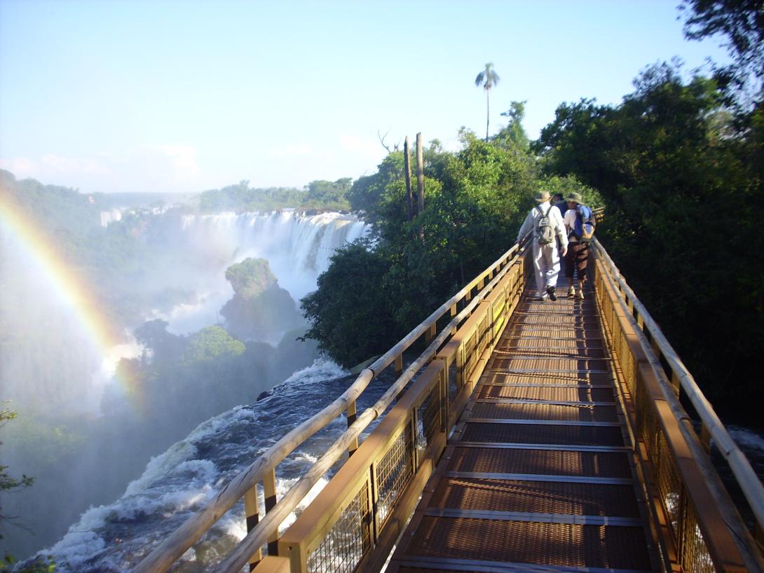 Iguazu Falls birding