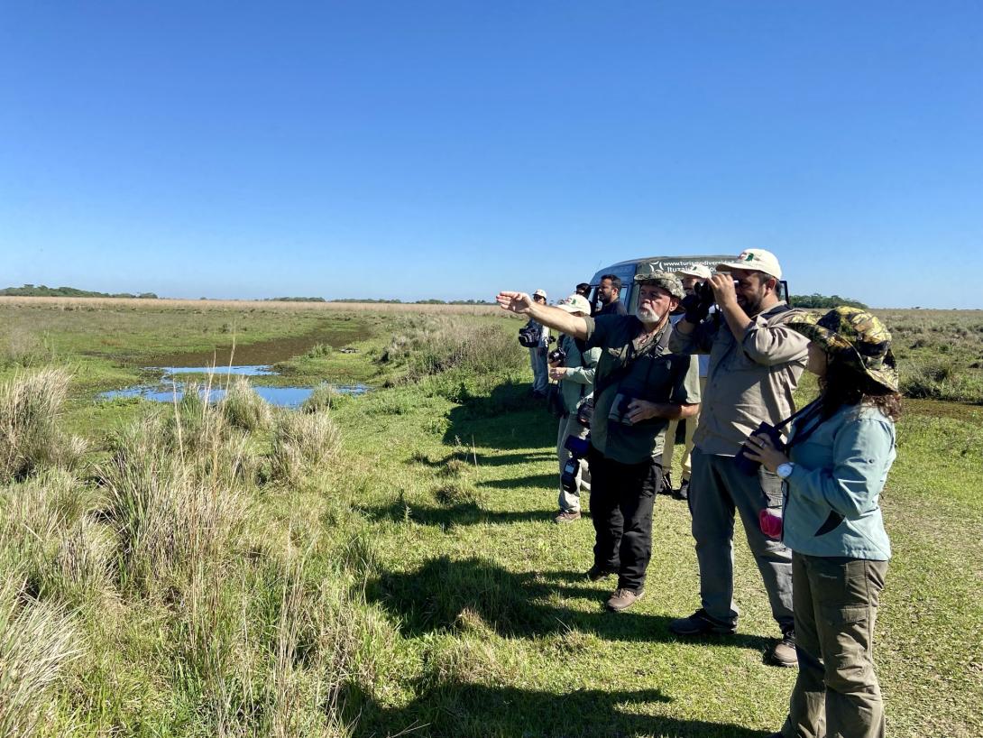 Birding in southern southamerica