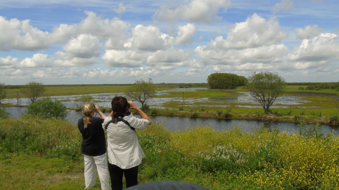 Ceibas Birding