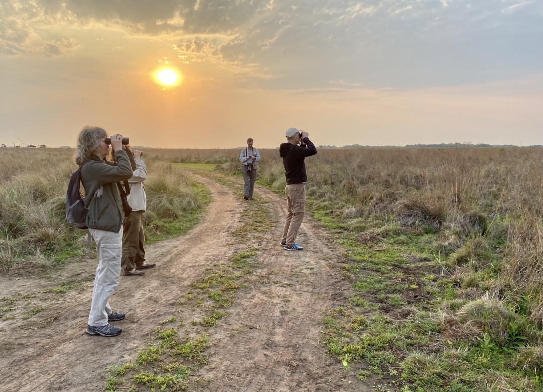Birding Ibera and Iguazu